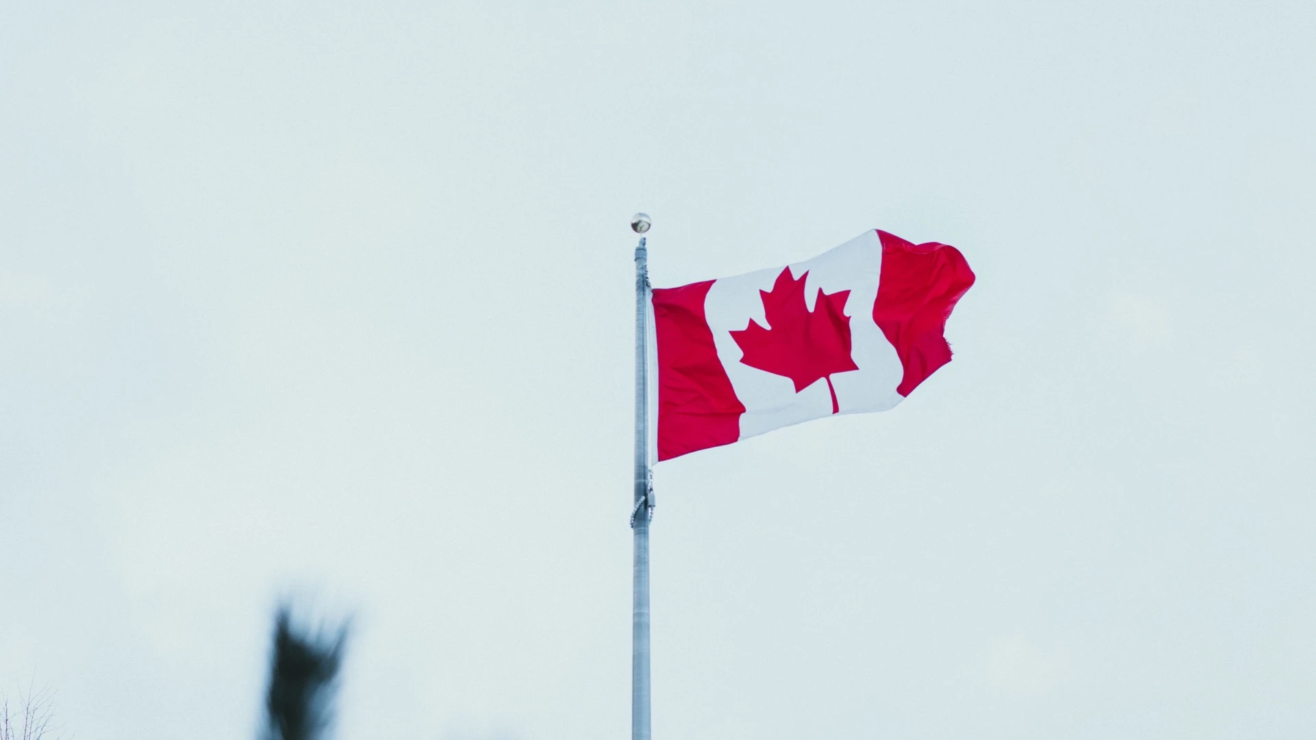 Canadian flag flying against a winter sky